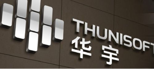 业绩预亏、公司涉罪、股民索赔 华宇软件“新官上任”能否力挽狂澜?_新浪财经_新浪网
