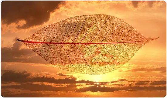 在我看来，和许多世界优秀企业一样，泰康的成功，最终离不开文化和机制。