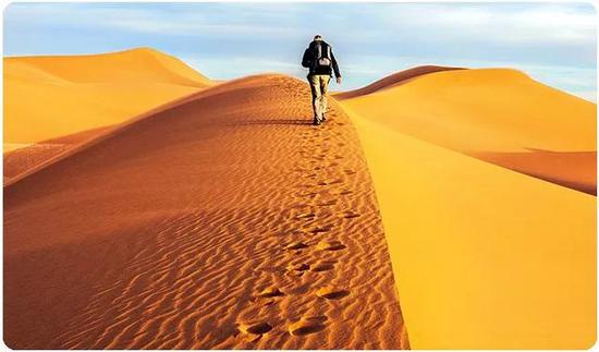 泰康进入世界500强之时，是陈东升把自己归零、迈入新时代之日。