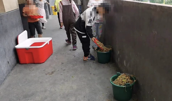 学生将营养餐倒进垃圾桶 两名公职人员被停职