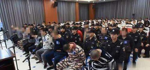 安徽“刘氏兄弟”案背后：以商养黑 判决书达