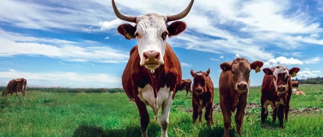 刺激的一天！A股再次上演"奇迹日"，谁在出手拯救？新冠检测大爆发，背后有何深意？