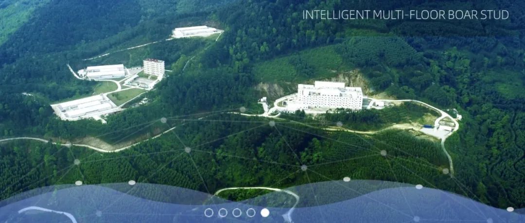 扬翔股份上会前“撤退”：实控人再次背负上市对