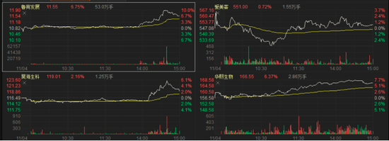 玻尿酸“四朵金花”齐涨：双十一C端产品大热 千亿市场正在到来