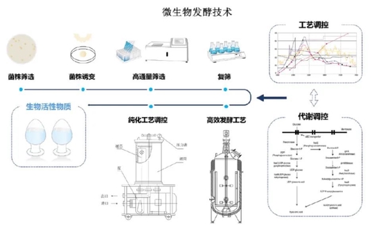 生物发酵技术
