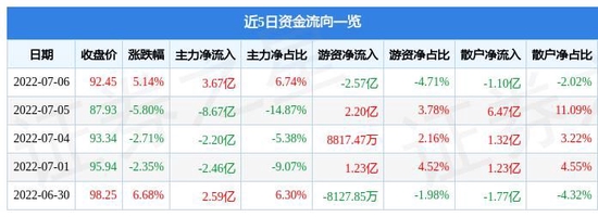 近 5 日资金流向表