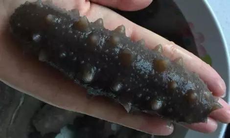 ������ͼ