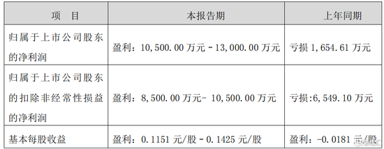 数据来源：公司财报