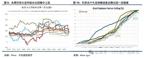 棕榈油多头资金减仓 油脂上涨出现乏力