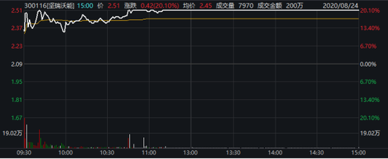创业板“改制”后第一个20%涨停板诞生 坚瑞沃能被温州帮盯上