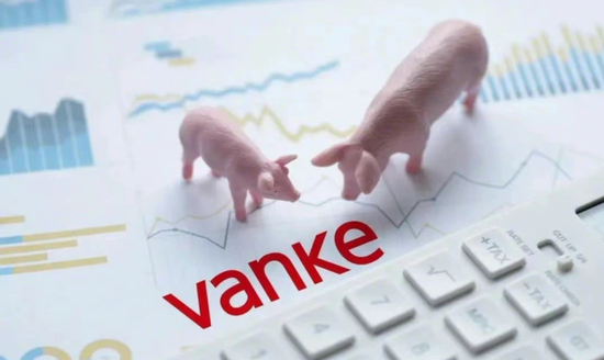 揭秘万科冰雪事业部之死 “废太子”的挣扎和郁亮的审慎