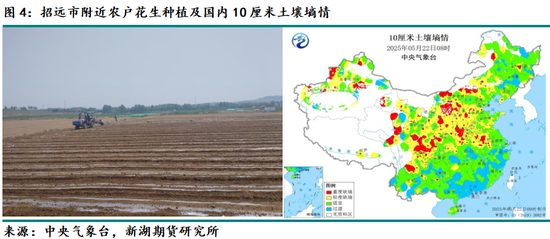 新湖农产(油脂)专题:山东花生产区调研报告