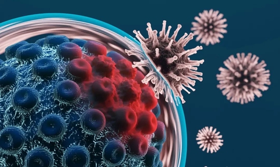 “越撇清越涨，四收关注函？这家公司是真有料还是纯概念？