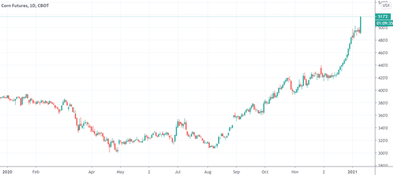 美国农业部削减大豆、玉米产量预期 CBOT玉米期货触及涨停