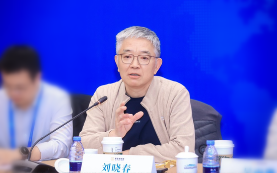 上海新金融研究院副院长 刘晓春