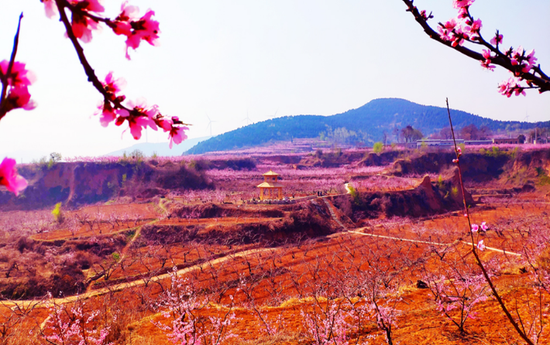 图2：十万亩桃园精品观赏区