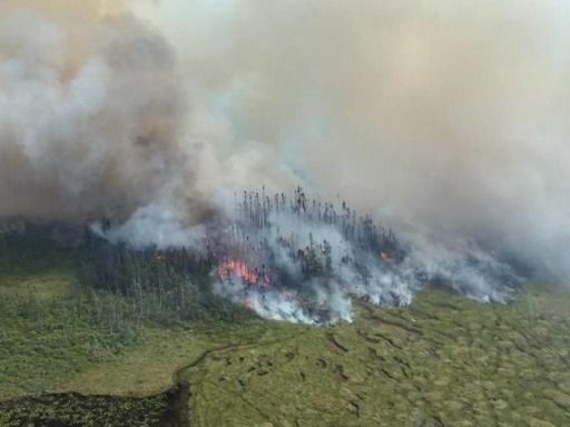 今年以来欧洲林火毁地面积创同期新高