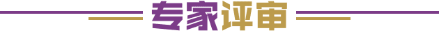 专家评审