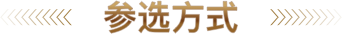 参选方式