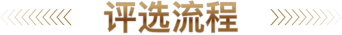评选流程