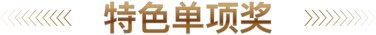 特色单项奖