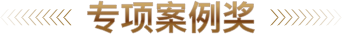 专项案例奖