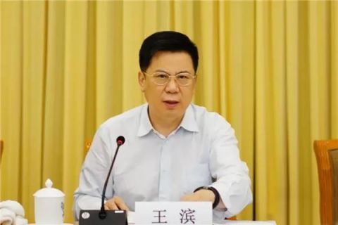 中央巡视组进驻两个月后，中国人寿董事长王滨平安退休梦碎