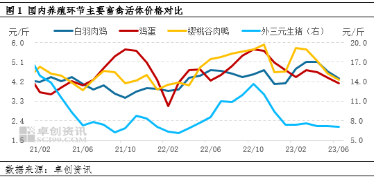卓创资讯【粮-饲-畜价值链传导】:6-7月国内畜禽养殖利润堪忧