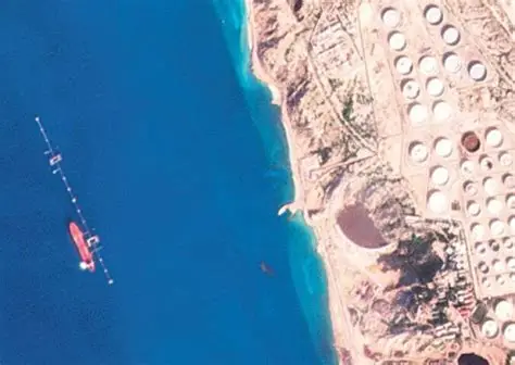 KS业务平台：24小时免费下单，官网操作指南揭秘？