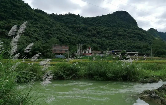 从脱贫到致富，看大唐地产在龙弟村的“扶贫攻坚”路