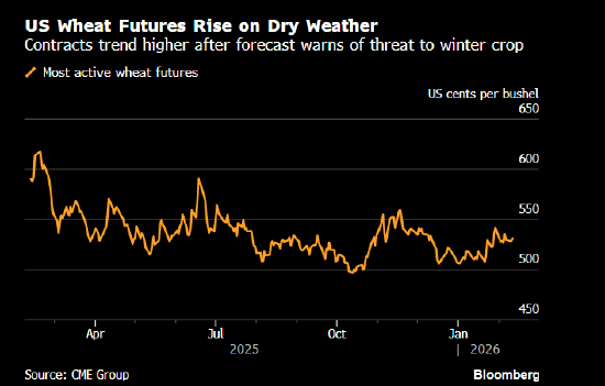 小麦期货上涨 因干旱天气加剧美国冬小麦种植风险