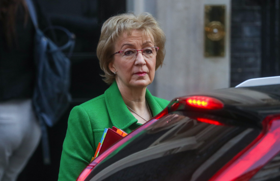  Andrea Leadsom 