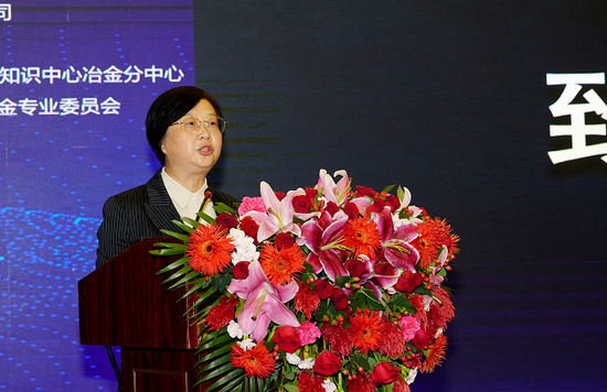 昆明钢铁控股有限公司董事长王素琳