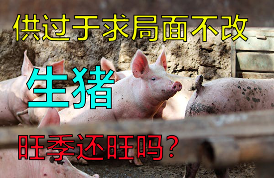 中粮期货:供过于求局面不改,生猪旺季还旺吗?