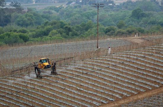 美国农业部大幅下调2019年农业净收入预期