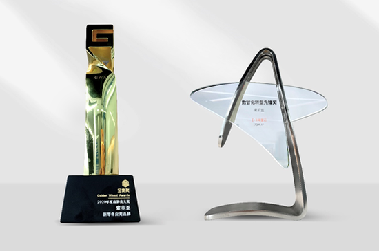 索菲亚斩获阿里云数智化转型先锋奖，赢战新商业时代！