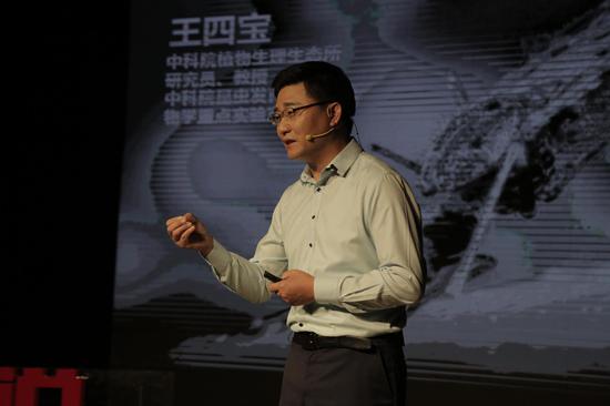 中科院植物生理生态所研究员王四宝