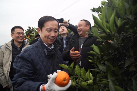 这是阿里巴巴CEO张勇一年来第二次到重庆。