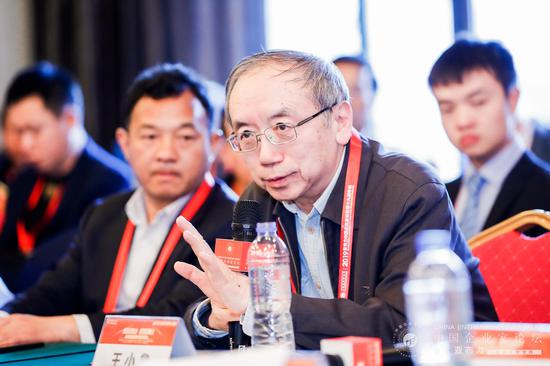 中国改革基金会国民经济研究所副所长王小鲁