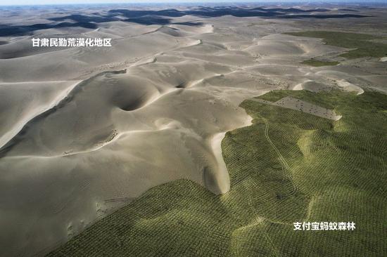 3月28日，甘肃民勤红崖山，2019年支付宝蚂蚁森林春种现场，无人机航拍画面。