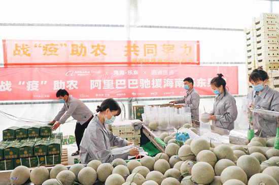 為開通“海南助農專線”，當地村民打包忙