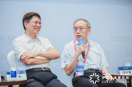 王小鲁：拉动内需要把民生和恢复结构平衡放在第一位