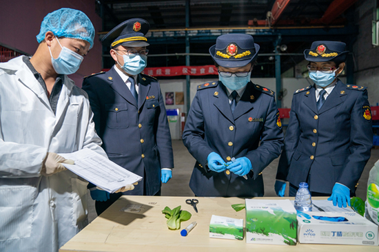 进博会今日正式开幕：100%核酸全检 供应链全程溯源