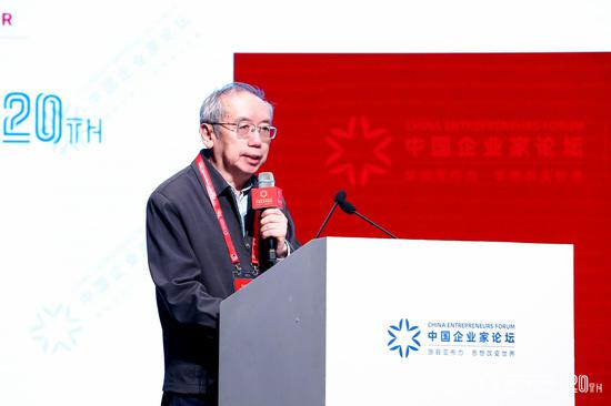 中国经济如何面对挑战？王小鲁提出九项政策建议