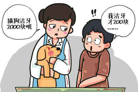 宠物智力排行_宠物犬宠物犬排名_宠物犬智商排名_太平洋时尚网专区