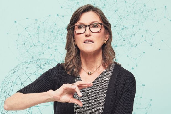 抄底加密和中概股 下一盘大棋？木头姐在赌什么？