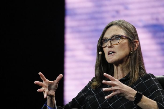 "木头姐"最新发言:特斯拉和比特币改变了人们生活|木