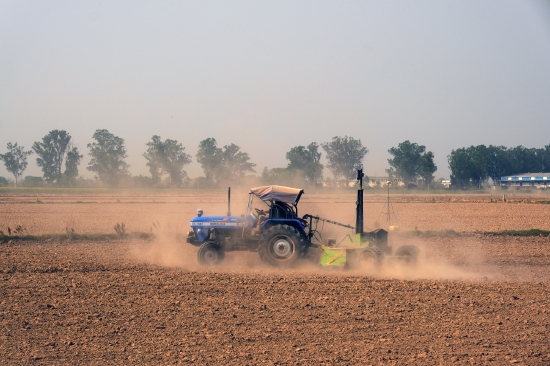 A farmer in a wheat field in Ludhiana district of Punjab state earlier in May