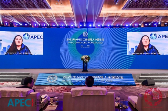 美国APEC国家中心主席：期待可持续性将成为美国和其他APEC经济体的主要关注点
