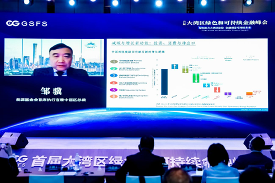 邹骥：绿色低碳领域的投资潜力是巨大的